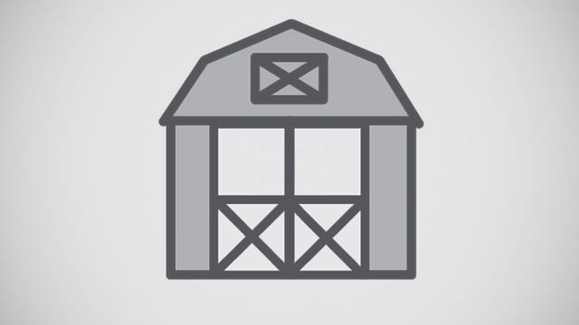REPO BUILDING 10x16